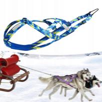 Šuns pakinktai Husky, atspindintys, traukimo, XXL, mėlyni