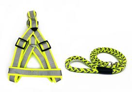 Šuns petnešų rinkinys BUBU Classic, geltonas, M/L, 25 mm petnešos, 15 mm/120 cm pavadėlis