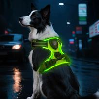 Šviečiantis LED šuns pakinktai, 3 apšvietimo režimai, žali