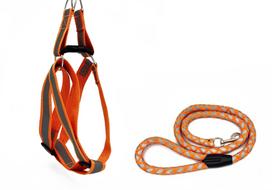 Šunų pakinktų ir pavadėlio rinkinys BUBU Classic Reflect M/L, 25 mm, pavadėlis 15 mm/120 cm, oranžinis