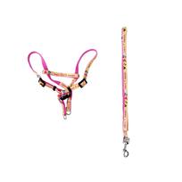 Šunų petnešos su pavadėliu BUBU Friends, 10 mm, 120 cm, rožinės