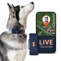 GPS augintinio seklys 4G, atsparus vandeniui IP67, su prenumerata