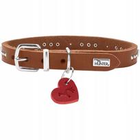 Odinis šunų antkaklis Hunter Aalborg Hearts, konjakinės spalvos, 27 cm, XXS–XS