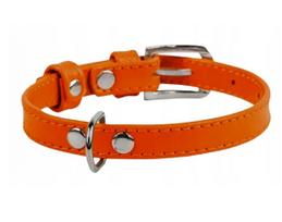 Odinis šuns antkaklis WAUDOG, oranžinis, 9 mm, 19–25 cm