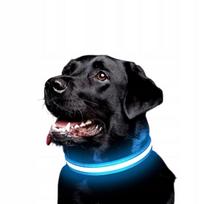 Šviečiantis LED antkaklis šunims, 36–52 cm, mėlynas, USB, M dydis, PREMIUM