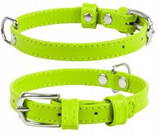 Odinis šuns antkaklis WAUDOG, 12 mm, 21–29 cm, žalias