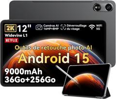 Planšetinis kompiuteris Oscal Pad 100 12" Android 15 2.4G+5G Wifi RAM 36GB ROM 256GB/SD 2TB 9000mAh 16MP+8MP - Pilka