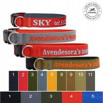 Šuns antkaklis su vardu, telefonu ir adreso kortele, 33–38 cm