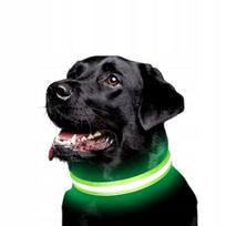 LED šviečiantis šuns antkaklis, 36-52 cm, žalias, USB, M, PREMIUM