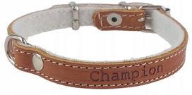 Odinis šunų antkaklis Champion, 30 cm x 1 cm, konjako spalvos