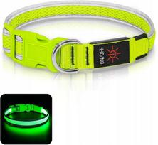 LED šviečiantis šuns antkaklis, USB, atsparus vandeniui, reguliuojamas, M dydis