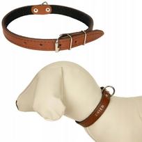 Odinis antkaklis šunims, rudas, 35–45 cm, 24 mm