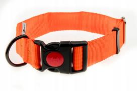 Šviesą atspindintis antkaklis, neoninės oranžinės spalvos, 40 mm, 39–61 cm