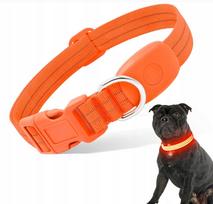Šviečiantis LED antkaklis šunims ir katėms, USB, atspindintis, M, 50 cm