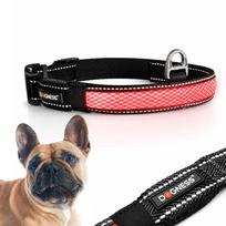 Šviečiantis šuns antkaklis DOGNESS, reguliuojamas, 31–40 cm, S dydis