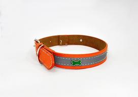 Šuns antkaklis BUBU, atšvaitinis, žalias su kauliuku, oranžinis, 25 mm, 52 cm