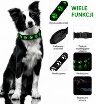 Šviečiantis augintinio antkaklis su LED, reguliuojamas, XS dydis 25–30 cm, įvairių spalvų