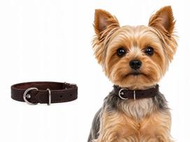 Odinis šuns antkaklis CHABA, rudas