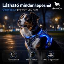 LED šuns pakabukas, įkraunamas, atspindintis, atsparus lietui, mėlynas, M dydis