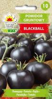 Vyšniniai pomidorai BLACKBALL