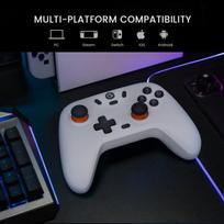 „Gamesir Nova Lite“ Belaidis Žaidimų Pulto Valdiklis Su „Bluetooth“, „Dongle“, Laidiniu „Switc“_, GST4NL005-2