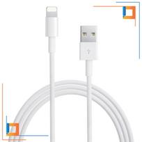 CO2 ĮKROVIKLIS TRUMPAS USB GREITOJO ĮKROVIMO LAIDAS SU LIGHTNING IPHONE 14 0,5 M
