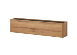 TV stovas Imv City, 150 cm, ažuolinė/antracitas