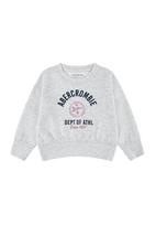 Abercrombie & Fitch Megztinis be užsegimo šviesiai pilka / melionų spalva / juoda