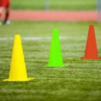 12 pakuočių kūgiai, eismo kūgiai sportui, futbolui, vaikams, šunims,