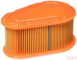 Oro filtras Briggs&Stratton Dov