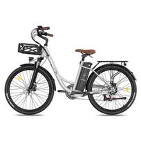 Elektrinis dviratis Fafrees F26 Lasting 26'', pilkas