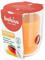 Bolsius True Scents Mango kvapioji žvakė stiklo indelyje, 25 val.