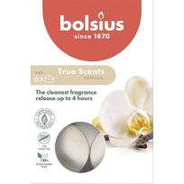 Bolsius arbatinės žvakės True Scents, 6 vnt., vanila