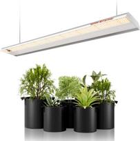 LED lempa augalams SPIDER FARMER SF600, LED lempa augalams SPIDER FARMER SF600