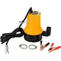 Panardinamas vandens siurblys 12v 50w 4200l/h