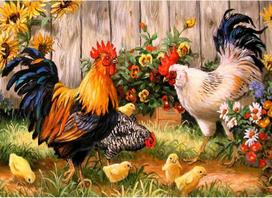 Pasidaryk pats 5d deimantinė tapyba pagal skaičius, drobės tapyba pagal skaičius, krištolinė tapyba pagal skaičius, sienų dekoras - Gaidys su višta ir viščiuku
