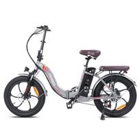 Elektrinis dviratis Fafrees F20 Pro 20", pilkas