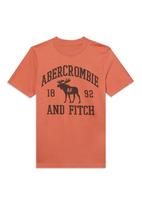 Abercrombie & Fitch Marškinėliai omarų spalva / juoda