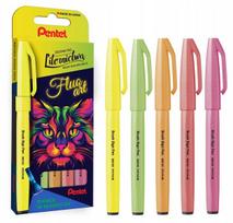 Pentel Kaligrafijos Fluorescenciniai Markeriai, 5 Spalvų Rinkinys
