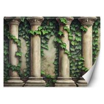 Fototapetai, Kolonos ir žali lapai