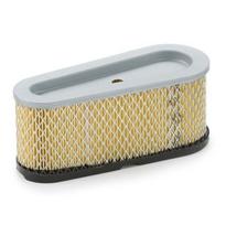 Oro filtras Briggs & Stratton (1 cilindro)
