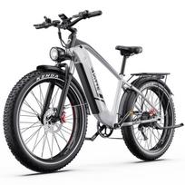 Elektrinis dviratis DUOTTS F26 Lite 26", pilkas