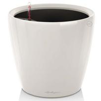 Lechuza vazonas Classico Premium LS 28, 26 cm