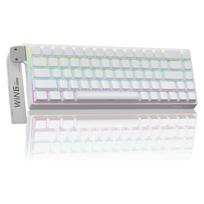 AULA WIN68 HE mechaninė žaidimų klaviatūra su magnetiniais jungikliais, RGB apšviesta laidinė mechaninė žaidimų klaviatūra, 60 % kompaktiškas dizainas, balta