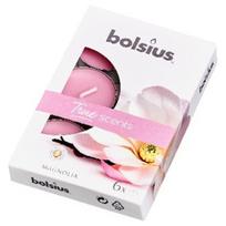 Bolsius arbatinės žvakės True Scents, 6 vnt., magnolija