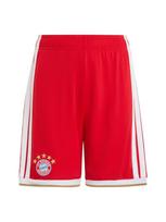 ADIDAS PERFORMANCE Sportinės kelnės 'FC Bayern München Home 26/27' kupranugario / raudona / balta