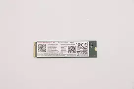Lenovo SSDASM 256GB M.2 2280 PCIe 4.0 x4 NVMe kietasis diskas (5SS0W79512)