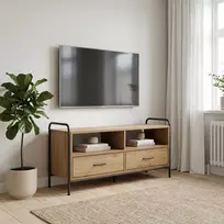 TV staliukas Televizoriaus spintelė 67,5 x 33 x 50 cm Artisano ąžuolo