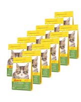 JOSERA Kitten GrainFree Sausas maistas kačiukams 12x400 g
