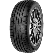 Fortuna Gowin Van 195/65 R16C 104/102 T